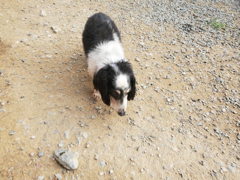 f:id:roukenhome-ann:20190930123432j:plain