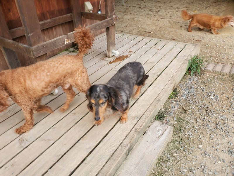 f:id:roukenhome-ann:20190930123517j:plain