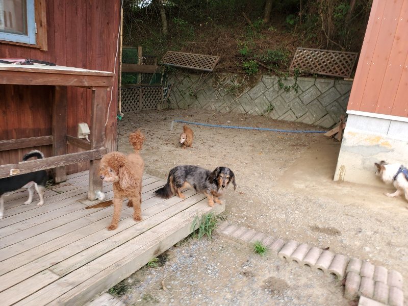 f:id:roukenhome-ann:20190930123744j:plain