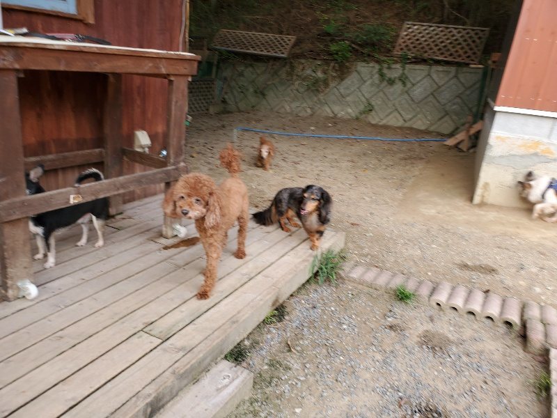 f:id:roukenhome-ann:20190930123819j:plain