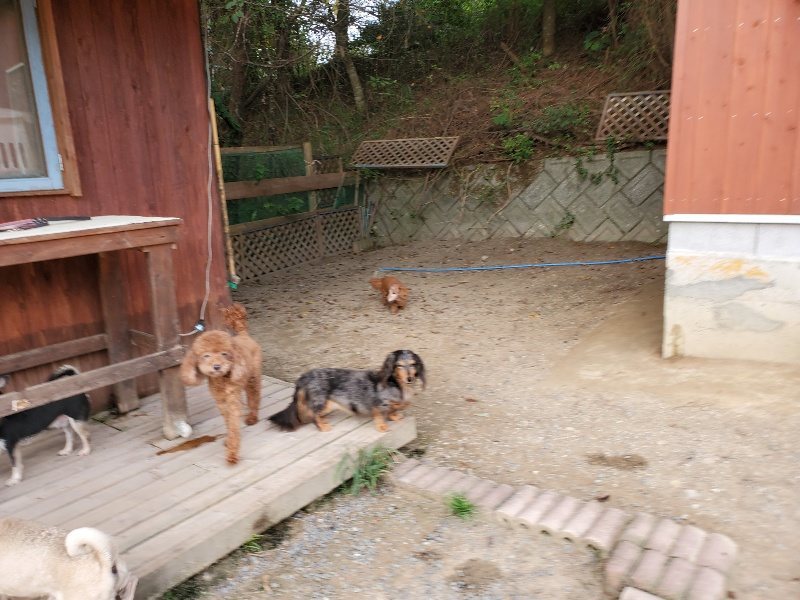 f:id:roukenhome-ann:20190930123845j:plain