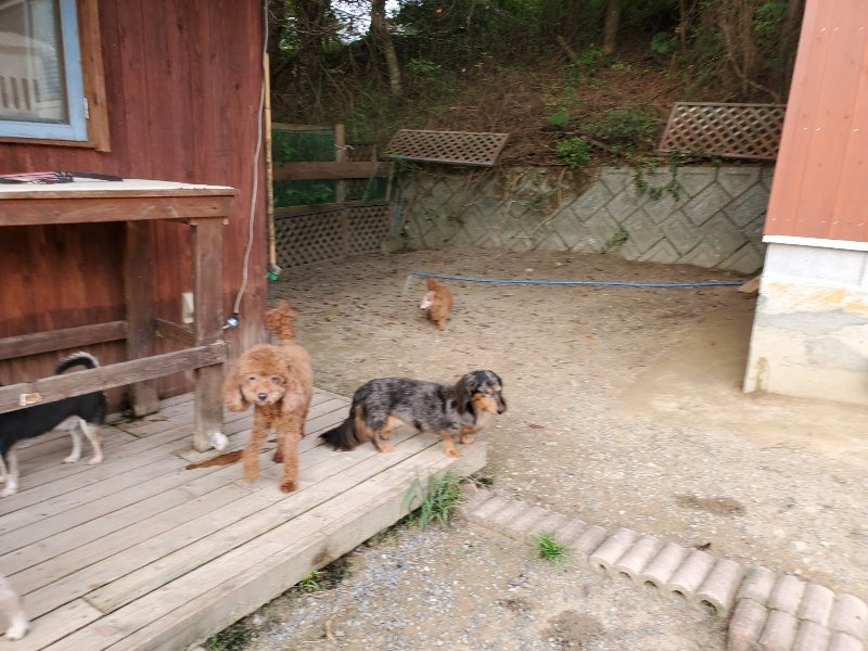 f:id:roukenhome-ann:20190930123903j:plain