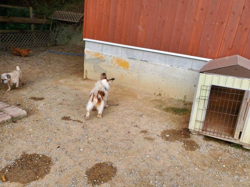 f:id:roukenhome-ann:20190930123934j:plain