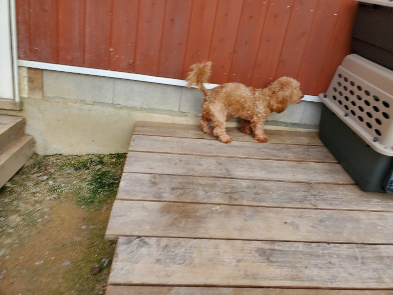 f:id:roukenhome-ann:20190930141620j:plain
