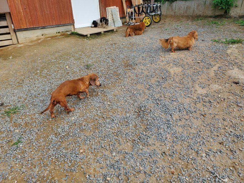 f:id:roukenhome-ann:20190930141746j:plain