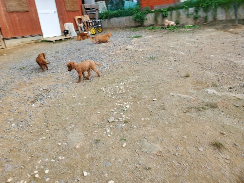 f:id:roukenhome-ann:20190930141753j:plain
