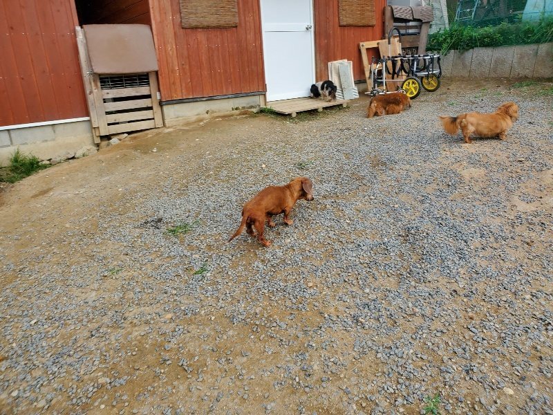 f:id:roukenhome-ann:20190930141814j:plain