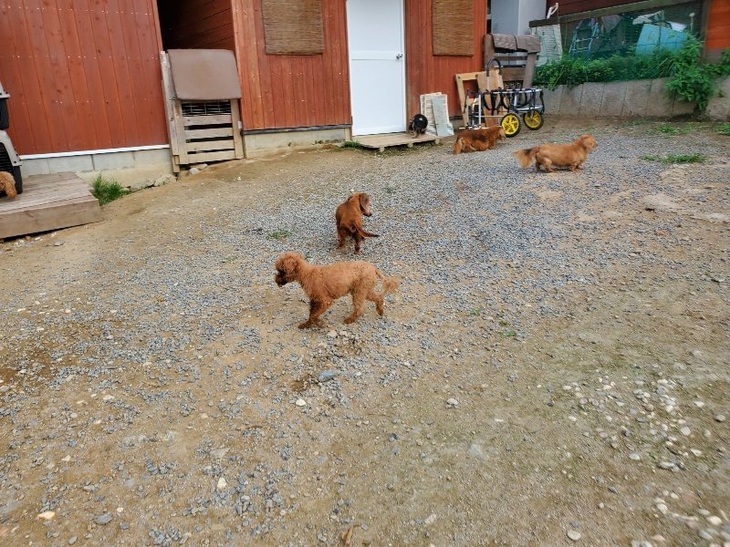 f:id:roukenhome-ann:20190930141834j:plain