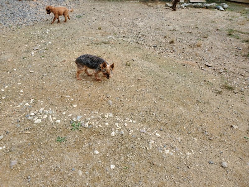 f:id:roukenhome-ann:20190930141855j:plain