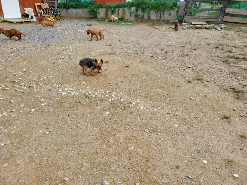 f:id:roukenhome-ann:20190930141917j:plain