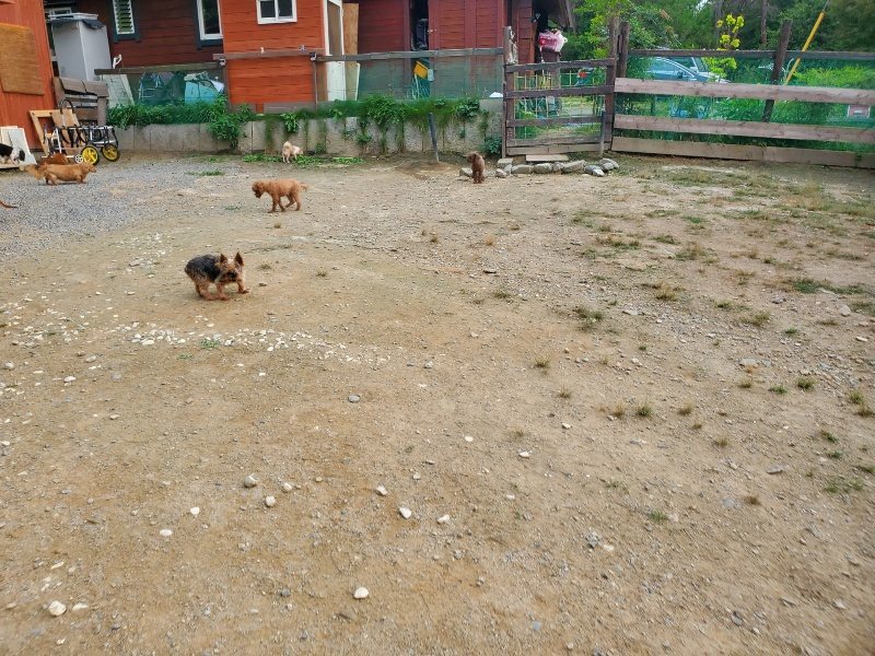f:id:roukenhome-ann:20190930142019j:plain
