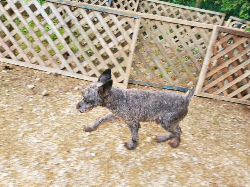 f:id:roukenhome-ann:20190930142041j:plain