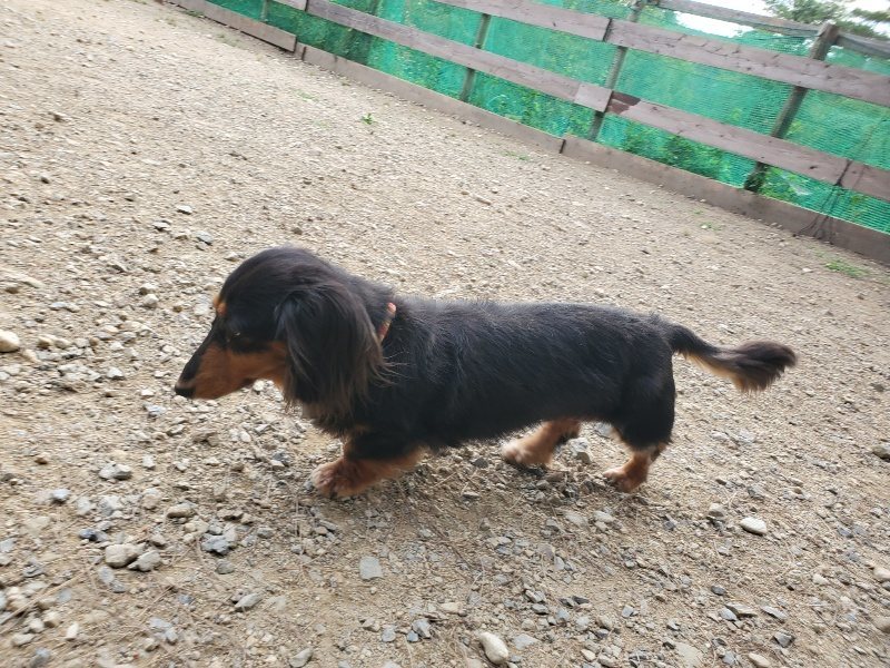 f:id:roukenhome-ann:20190930142343j:plain