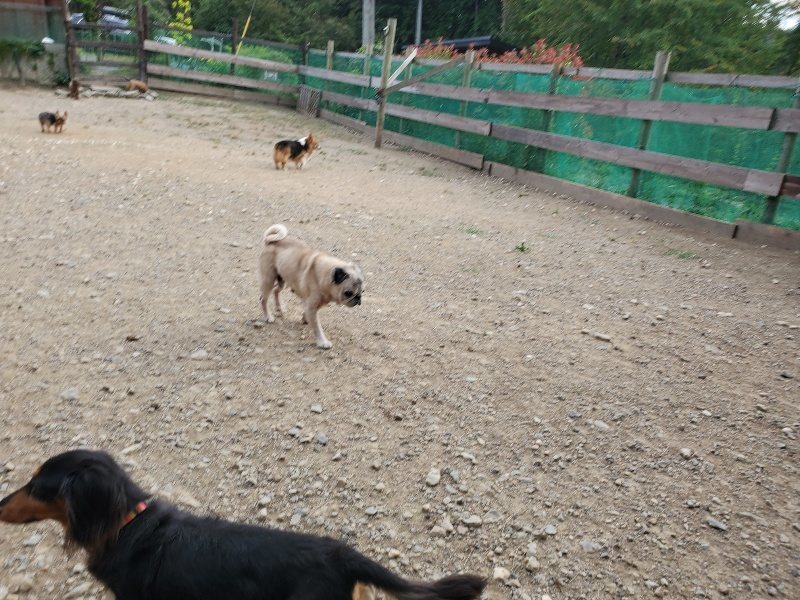 f:id:roukenhome-ann:20190930142357j:plain