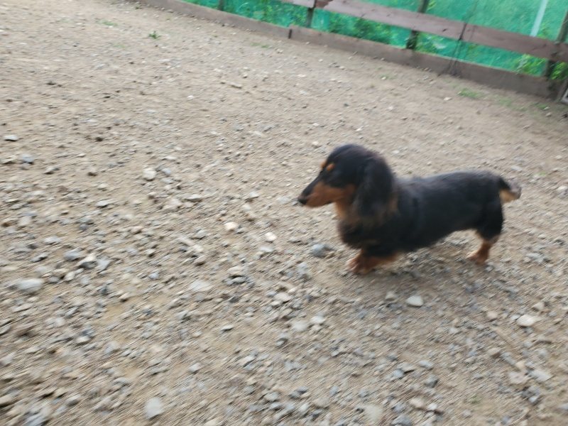 f:id:roukenhome-ann:20190930142408j:plain