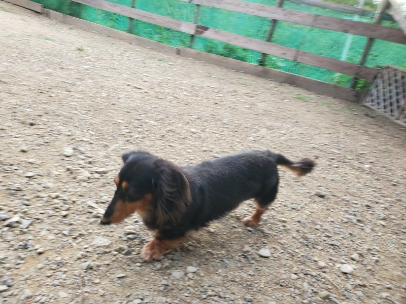 f:id:roukenhome-ann:20190930142429j:plain