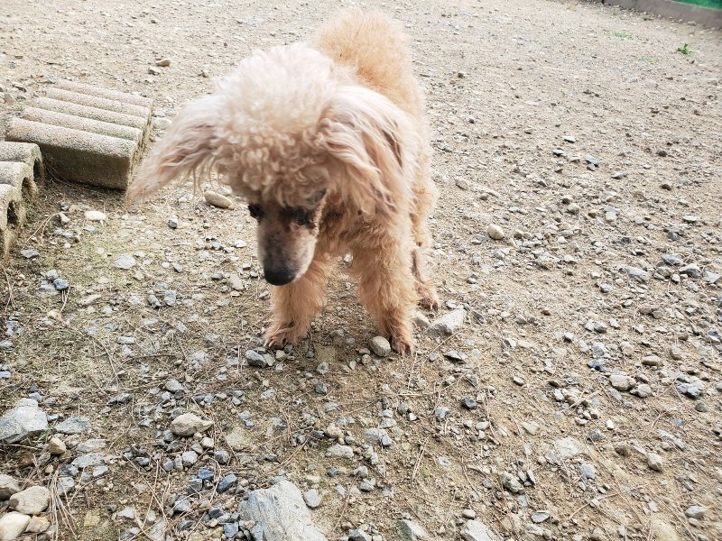 f:id:roukenhome-ann:20190930142512j:plain