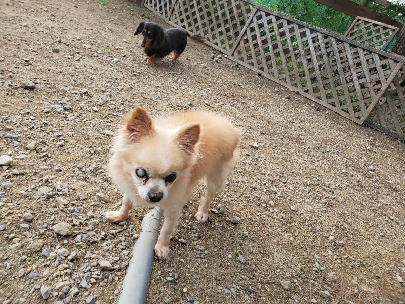 f:id:roukenhome-ann:20190930142548j:plain
