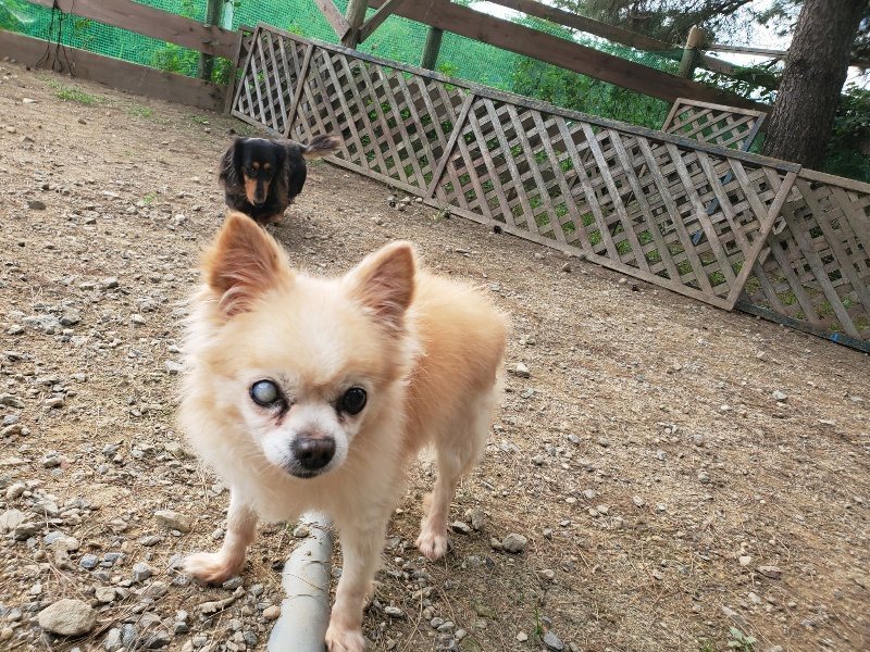 f:id:roukenhome-ann:20190930142555j:plain