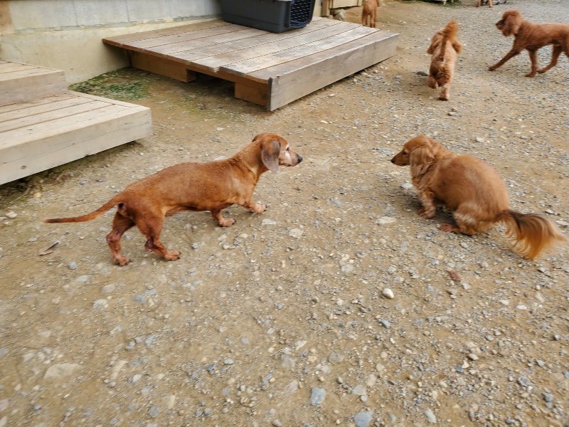 f:id:roukenhome-ann:20190930142728j:plain