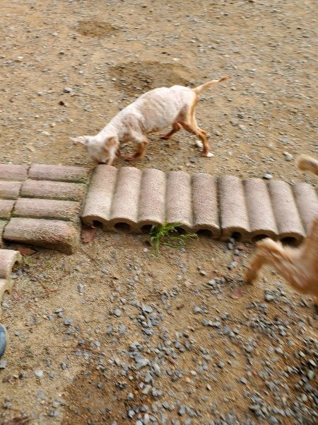 f:id:roukenhome-ann:20190930142830j:plain