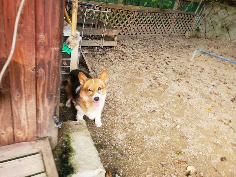 f:id:roukenhome-ann:20190930143015j:plain