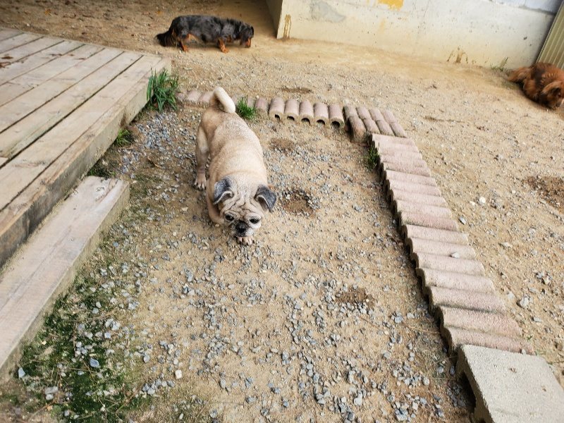 f:id:roukenhome-ann:20190930143151j:plain