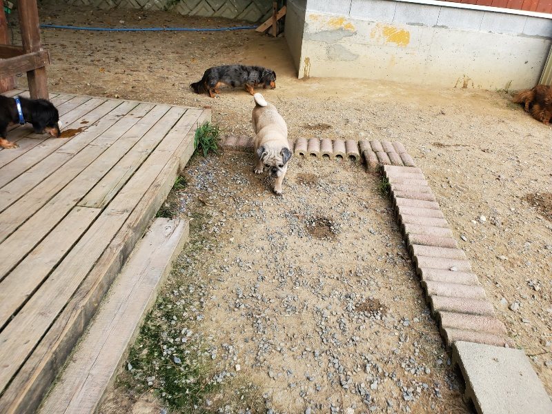 f:id:roukenhome-ann:20190930143204j:plain