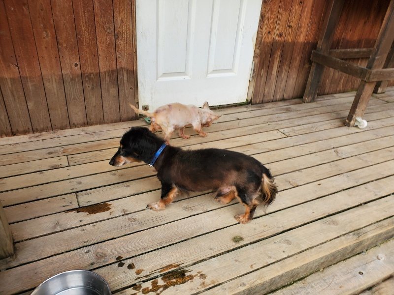 f:id:roukenhome-ann:20190930143233j:plain