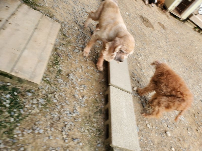 f:id:roukenhome-ann:20190930143252j:plain