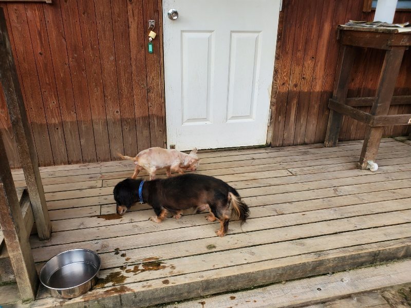 f:id:roukenhome-ann:20190930143317j:plain