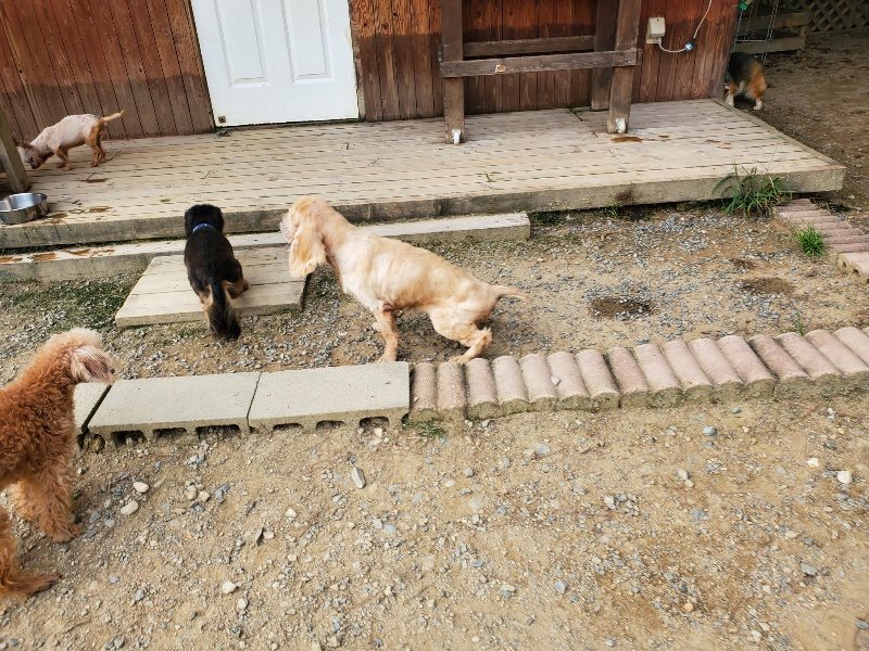 f:id:roukenhome-ann:20190930143338j:plain