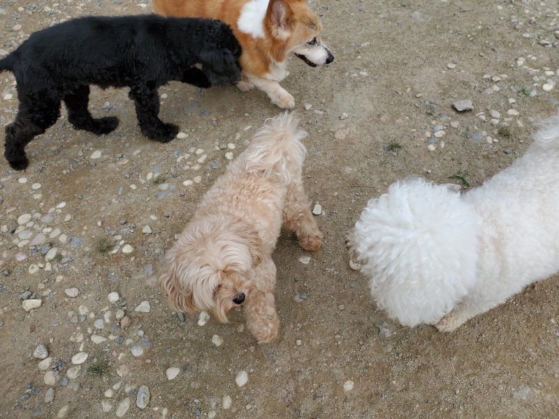 f:id:roukenhome-ann:20190930143446j:plain