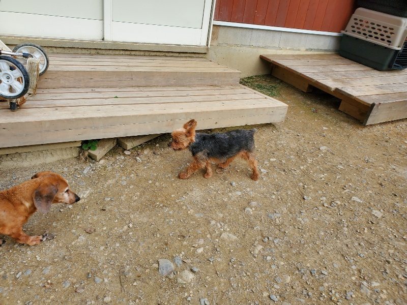 f:id:roukenhome-ann:20190930143525j:plain