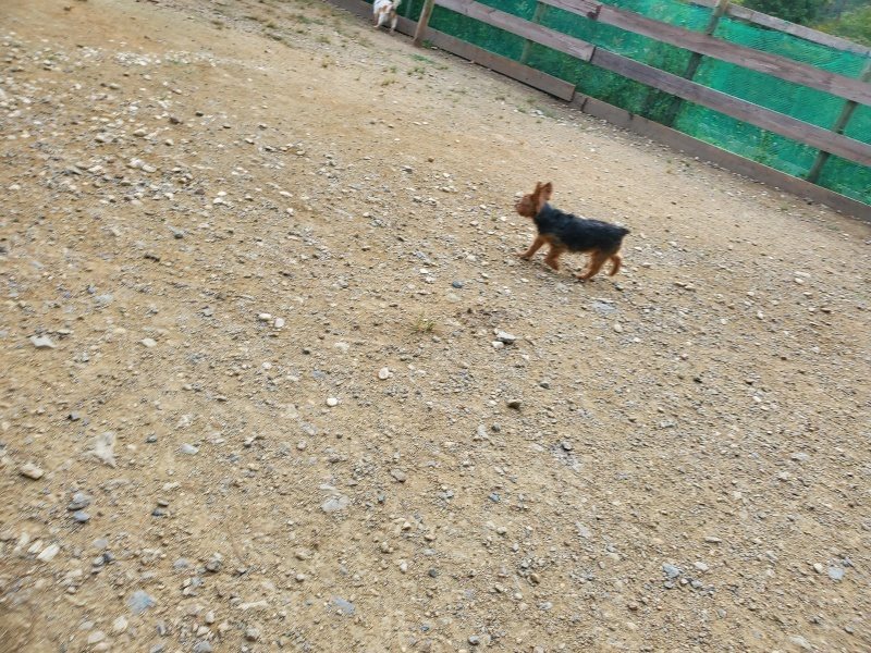 f:id:roukenhome-ann:20190930143731j:plain