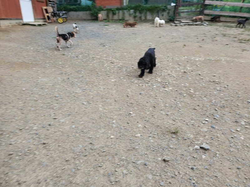 f:id:roukenhome-ann:20190930143906j:plain