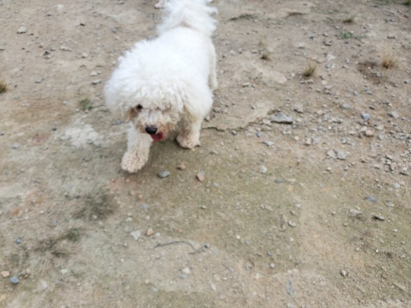f:id:roukenhome-ann:20190930144032j:plain