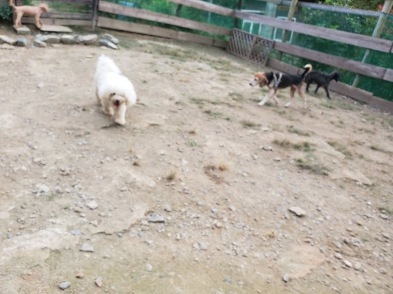 f:id:roukenhome-ann:20190930144036j:plain