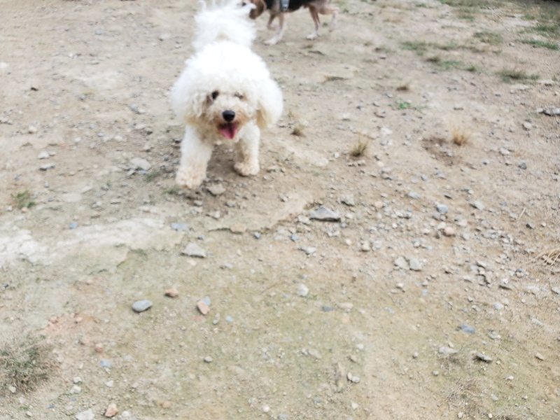 f:id:roukenhome-ann:20190930144041j:plain