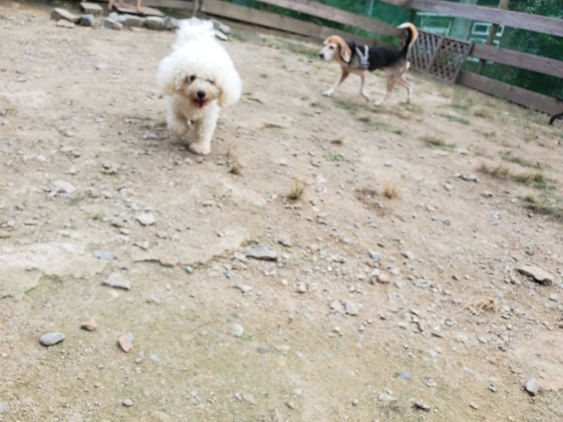 f:id:roukenhome-ann:20190930144047j:plain