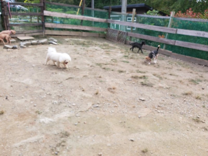 f:id:roukenhome-ann:20190930144052j:plain