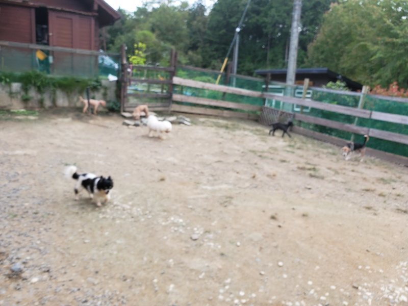 f:id:roukenhome-ann:20190930144056j:plain