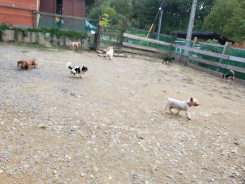f:id:roukenhome-ann:20190930144102j:plain