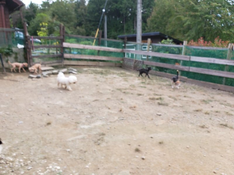 f:id:roukenhome-ann:20190930144106j:plain