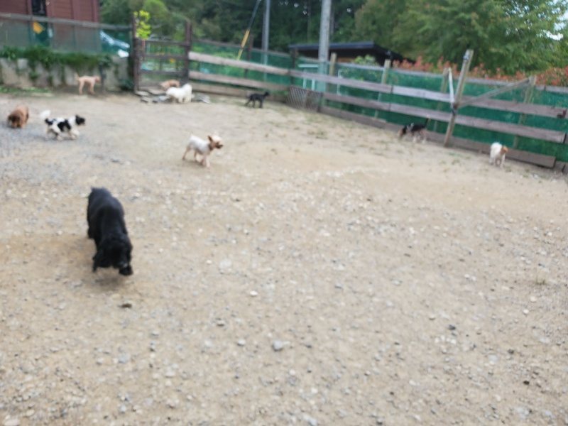 f:id:roukenhome-ann:20190930144110j:plain