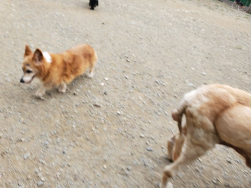 f:id:roukenhome-ann:20190930144115j:plain