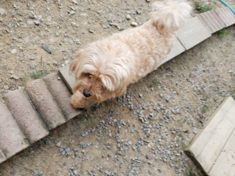 f:id:roukenhome-ann:20190930144127j:plain