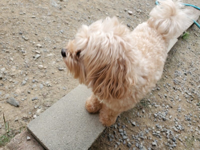 f:id:roukenhome-ann:20190930144134j:plain