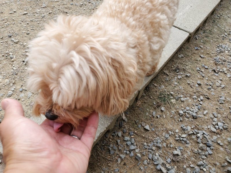f:id:roukenhome-ann:20190930144145j:plain
