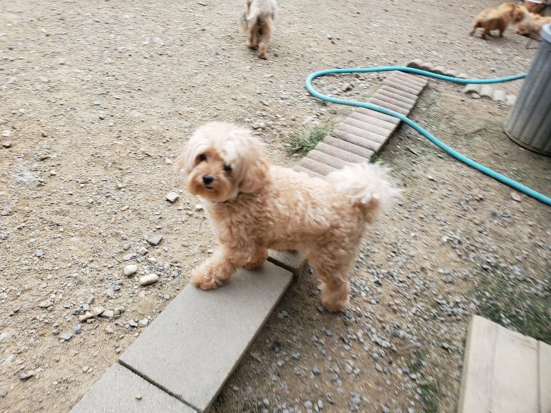 f:id:roukenhome-ann:20190930144151j:plain